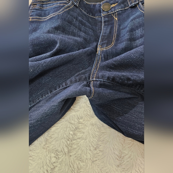 Artisan Crafted by Democracy Jeggings - Picture 4 of 5